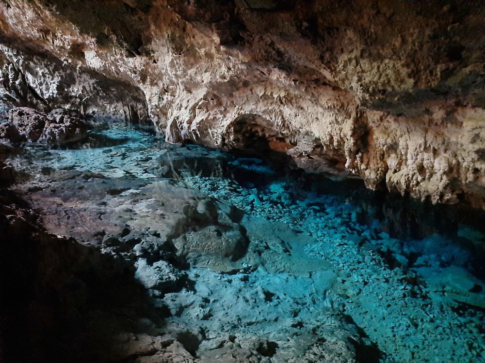 Swimming with sea turtles in salaam cave | ®ExcursionMania
