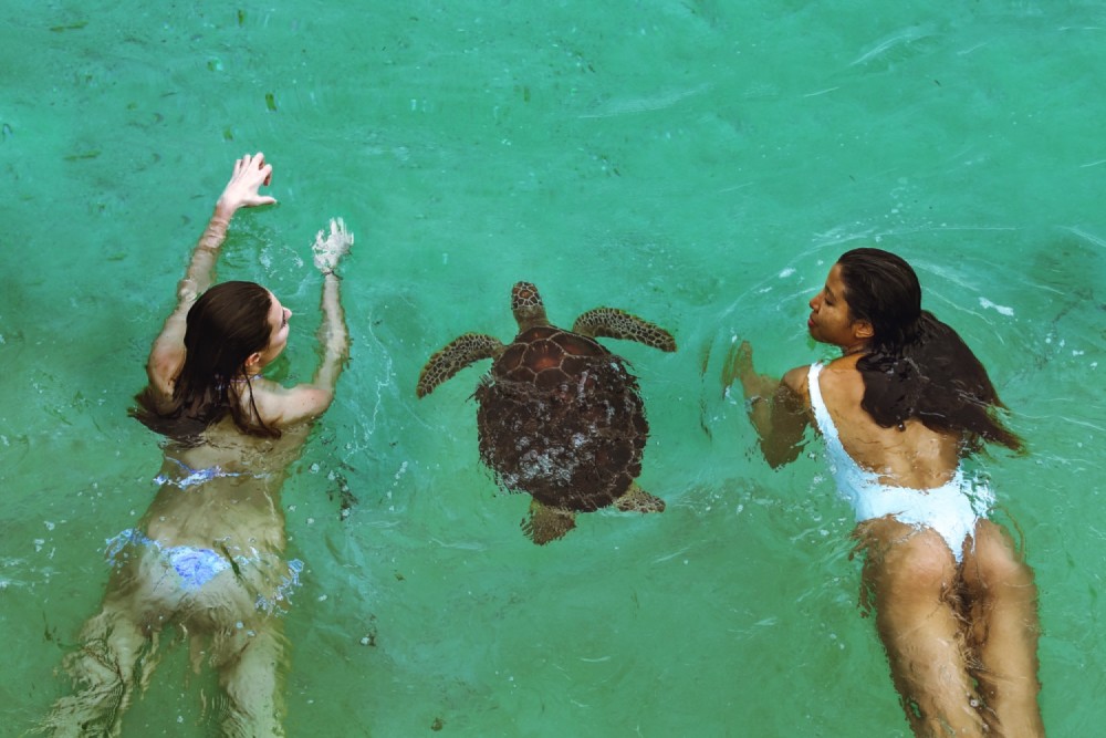 Swimming with sea turtles in salaam cave | ®ExcursionMania