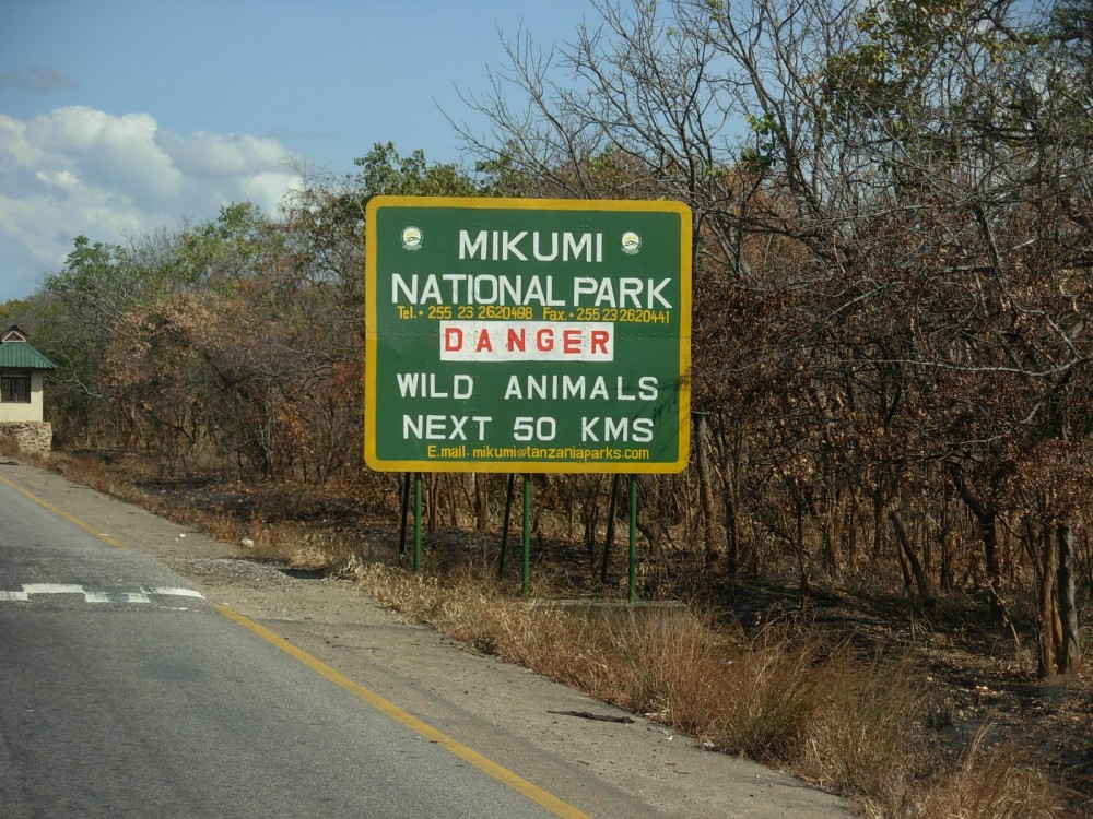 Safari Wildlife 3 Days 2 Night From Zanzibar to Mikumu | ®ExcursionMania