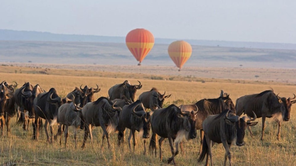 3 Days Masai Mara Camping | ®ExcursionMania