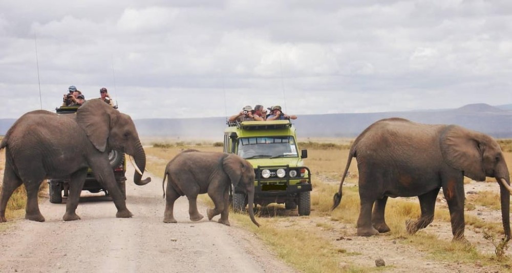 3 Days Masai Mara Camping | ®ExcursionMania