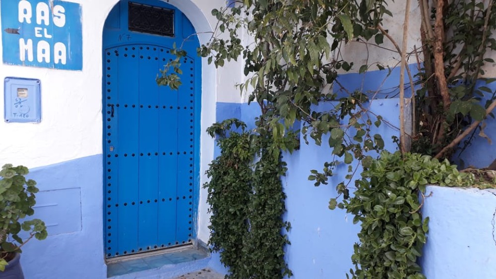 From Fes:2-Day Transfers to Chefchaouen & back to Fez/Tanger | ®ExcursionMania