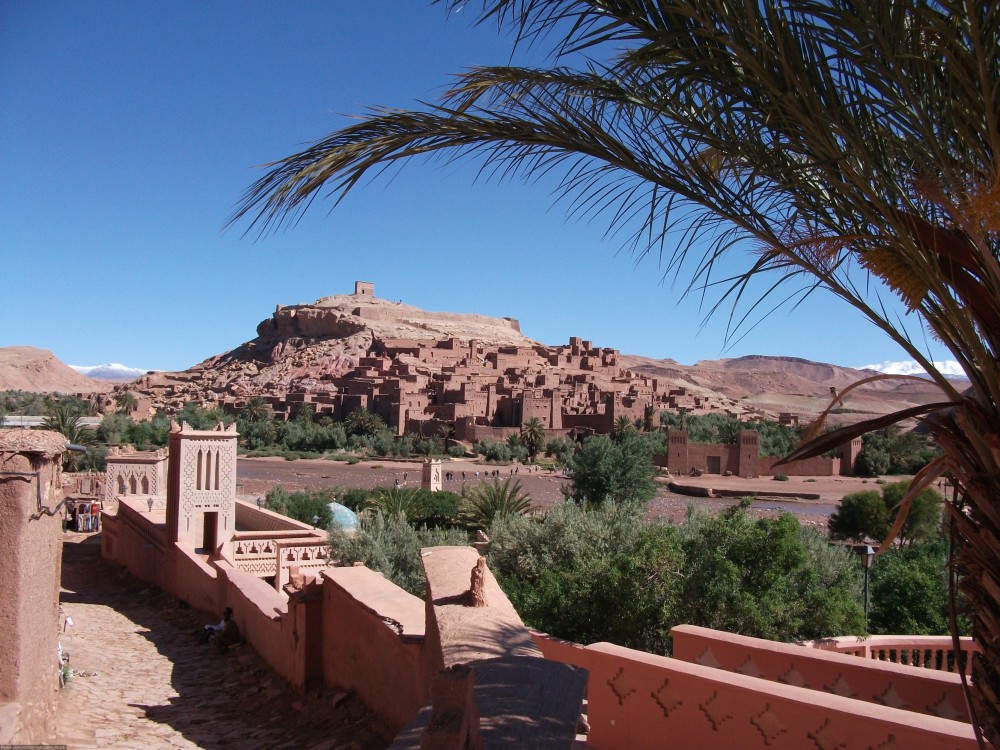 Image 7