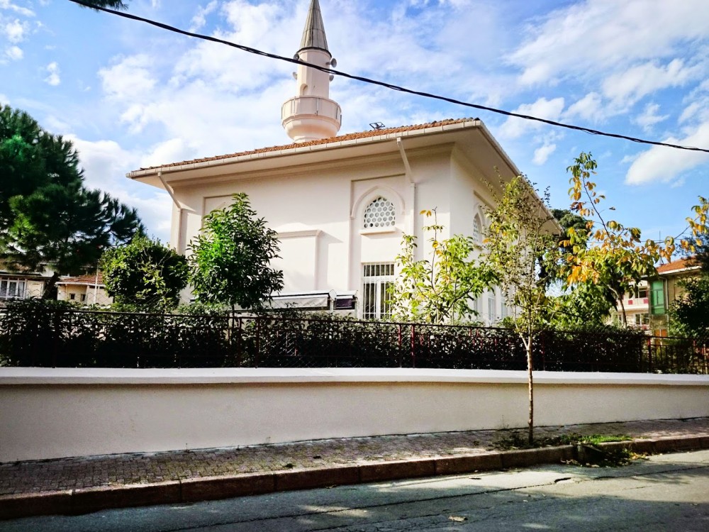 Image 4