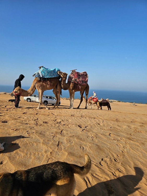 Agadir Jeep safari 4x4 Desert Adventures with Lunch | ®ExcursionMania