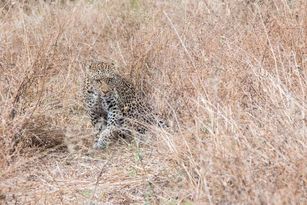 Chobe National Park 3 Days / 2 Nights | ®ExcursionMania