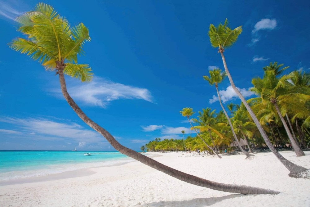 Zanzibar Nungwi Beach, Kendwa Beach and Sunset Dhow Trip | ®ExcursionMania