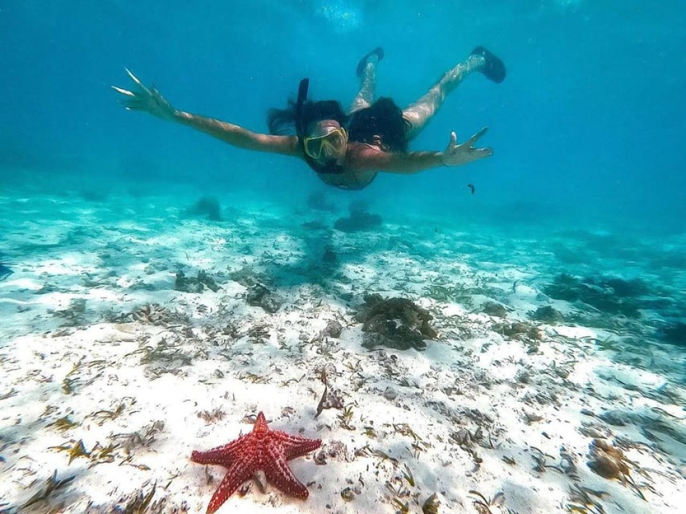 Zanzibar Snorkeling and Sandbank Picnic BBQ Lunch | ®ExcursionMania