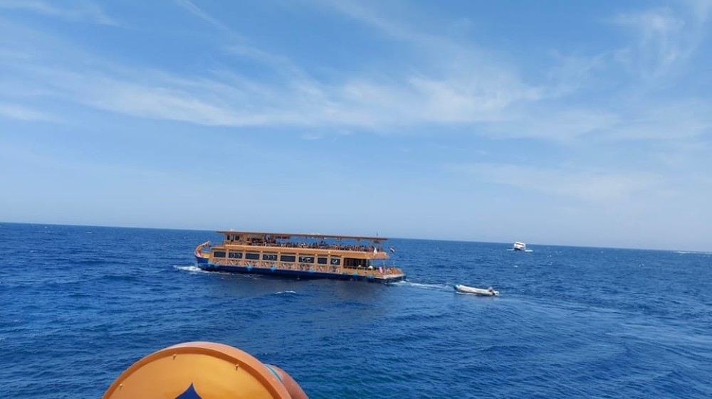 Marsa Alam: Nefertari Sunset Turtle Bay Cruise with Dinner | ®ExcursionMania
