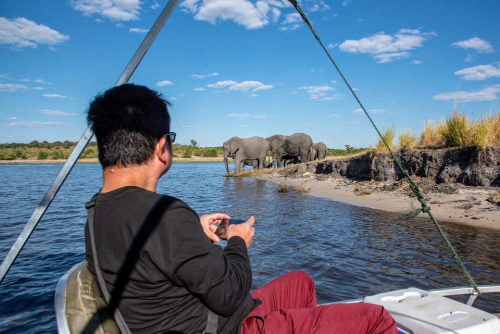From Livingstone & Victoria Falls: Rafting & Safari Combo | ®ExcursionMania