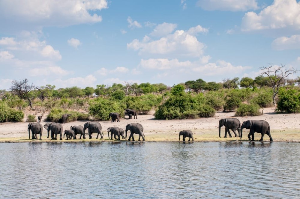 Chobe: 2-Day Mobile Camping Safari | ®ExcursionMania