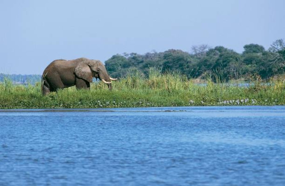 Victoria Falls Safari with Lunch and Sunset Cruise | ®ExcursionMania