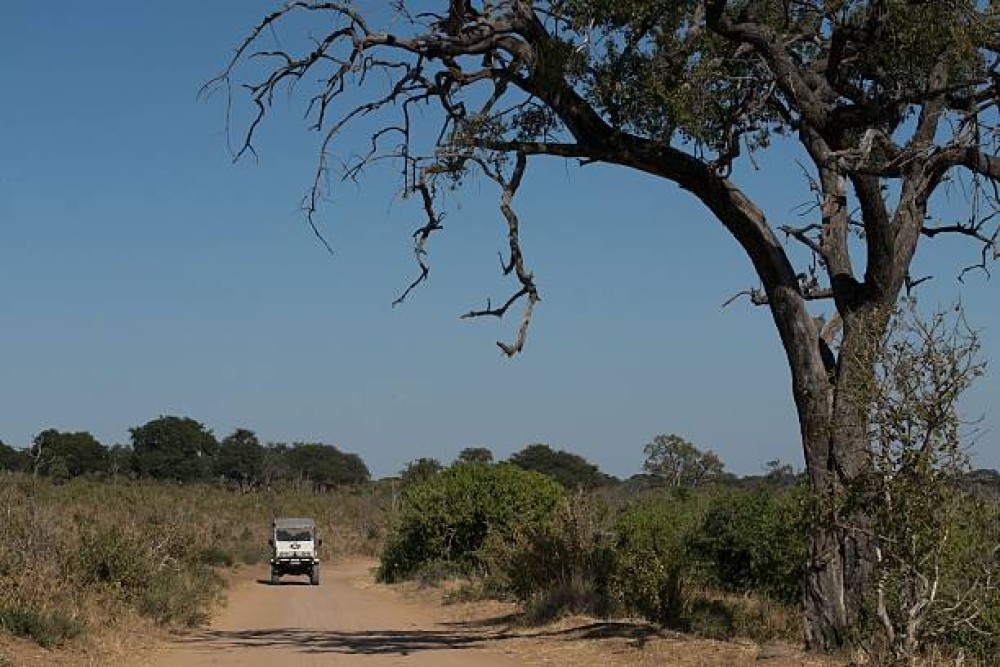 Victoria Falls Safari with Lunch and Sunset Cruise | ®ExcursionMania