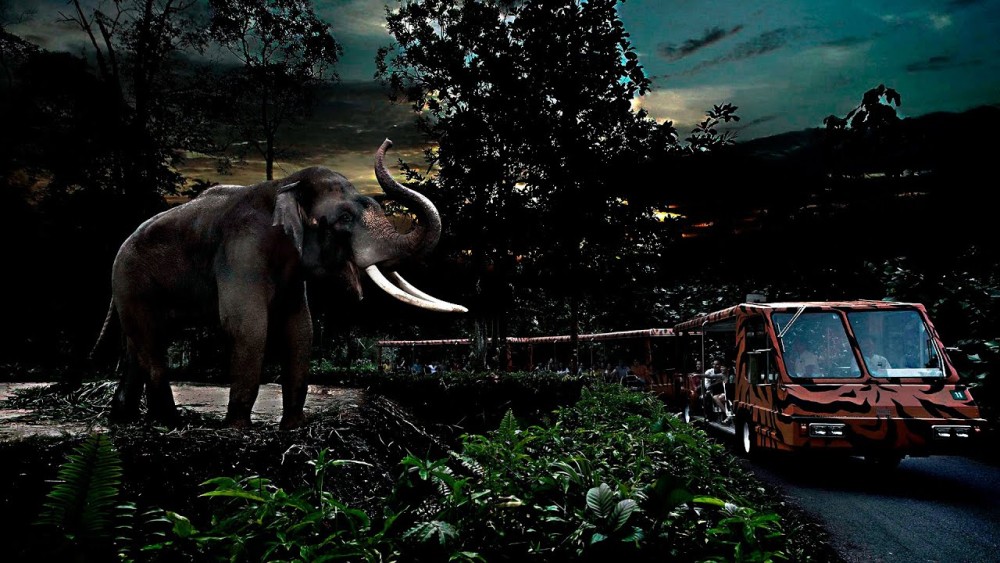 Victoria Falls: Night Game Drive and 3-Course Bush Dinner | ®ExcursionMania