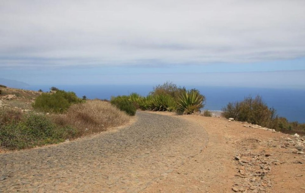Hike To The Highest Point Of Monte Verde | ®ExcursionMania