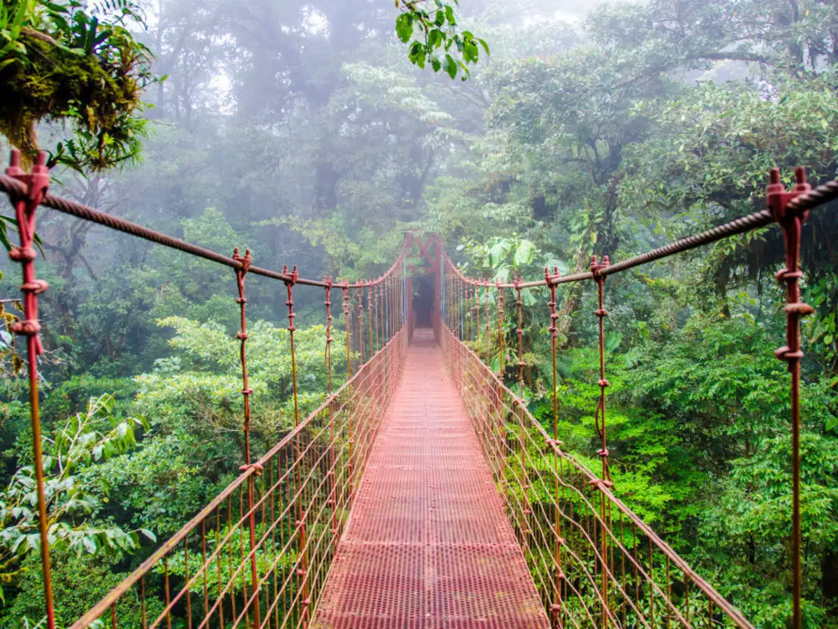 Hike To The Highest Point Of Monte Verde | ®ExcursionMania