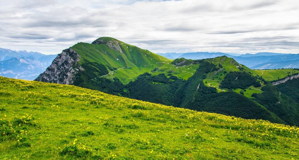 Hike To The Highest Point Of Monte Verde | ®ExcursionMania