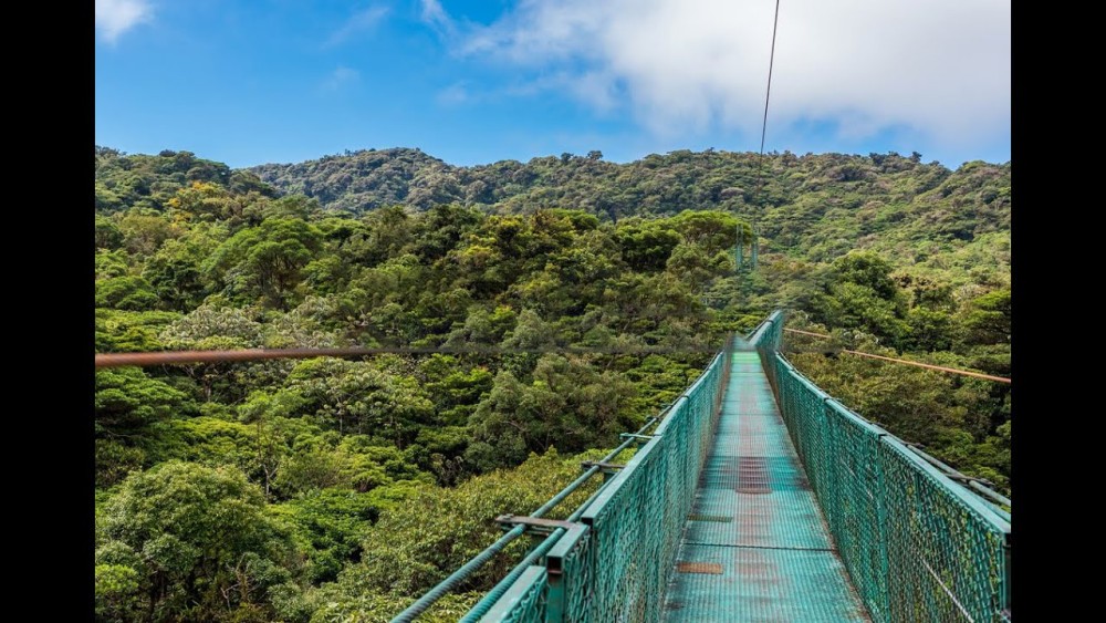 Hike To The Highest Point Of Monte Verde | ®ExcursionMania