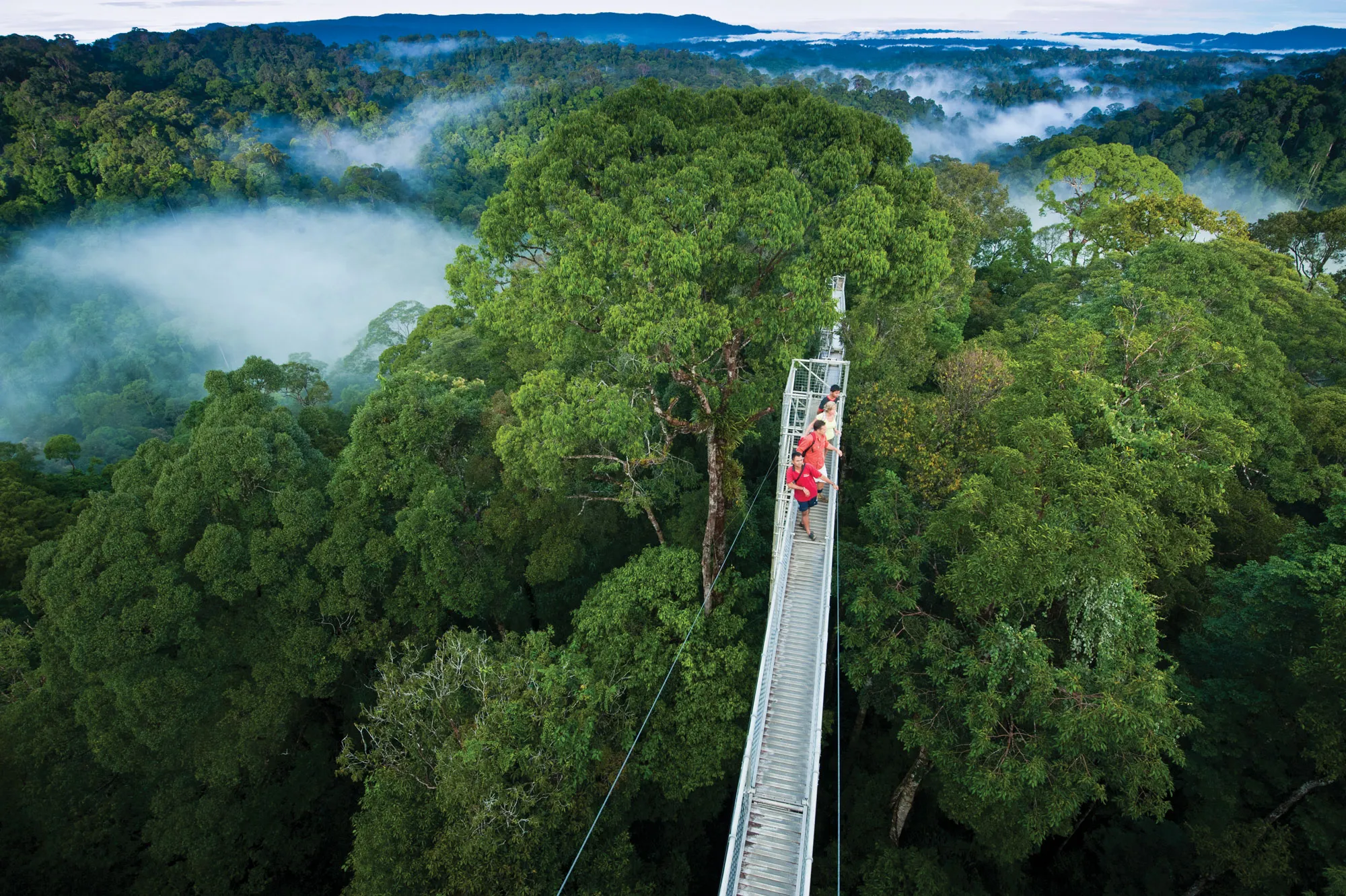 Hike To The Highest Point Of Monte Verde | ®ExcursionMania
