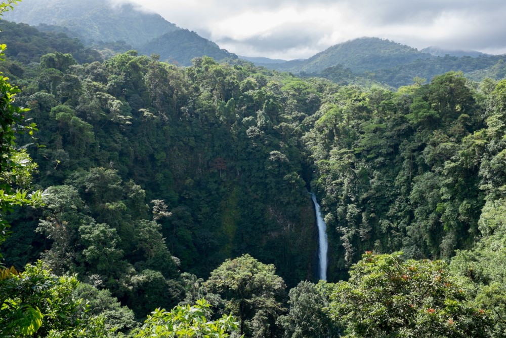 Hike To The Highest Point Of Monte Verde | ®ExcursionMania