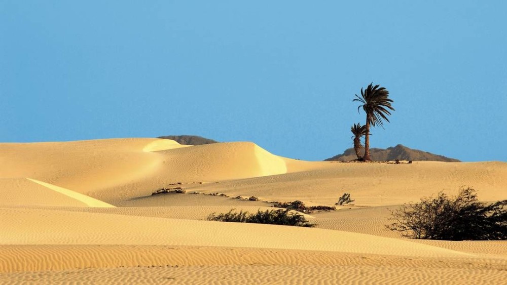 Shipwreck Viana Desert Fatima Chapel & Pottery | ®ExcursionMania