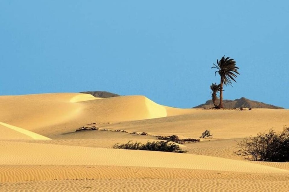 Santa Monica, Cave, San Dunes & Shipwreck, Sal Rei Town | ®ExcursionMania