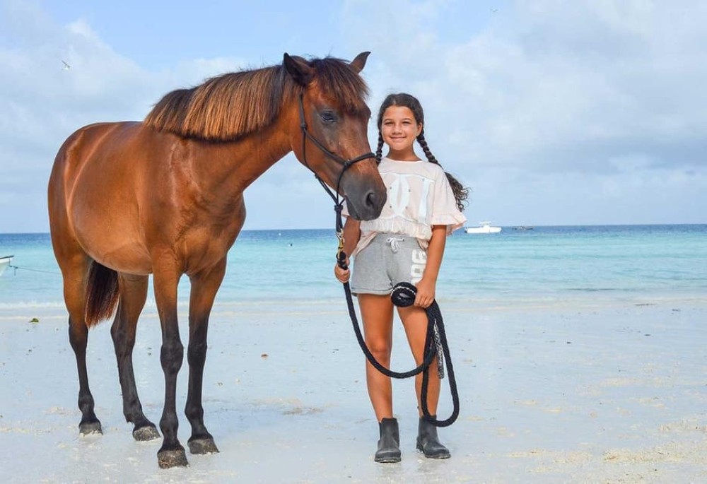 Zanzibar : Discover the Beauty of Horseback Riding | ®ExcursionMania