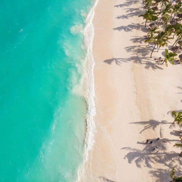 Zanzibar : Discover the Beauty of Horseback Riding | ®ExcursionMania