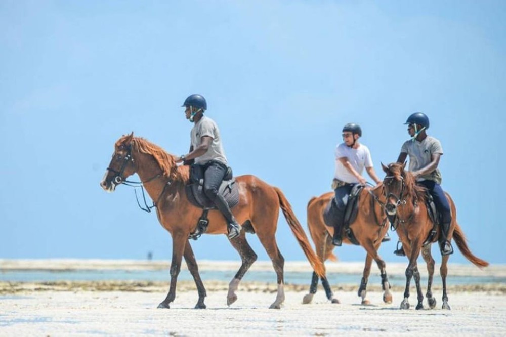 Zanzibar : Discover the Beauty of Horseback Riding | ®ExcursionMania