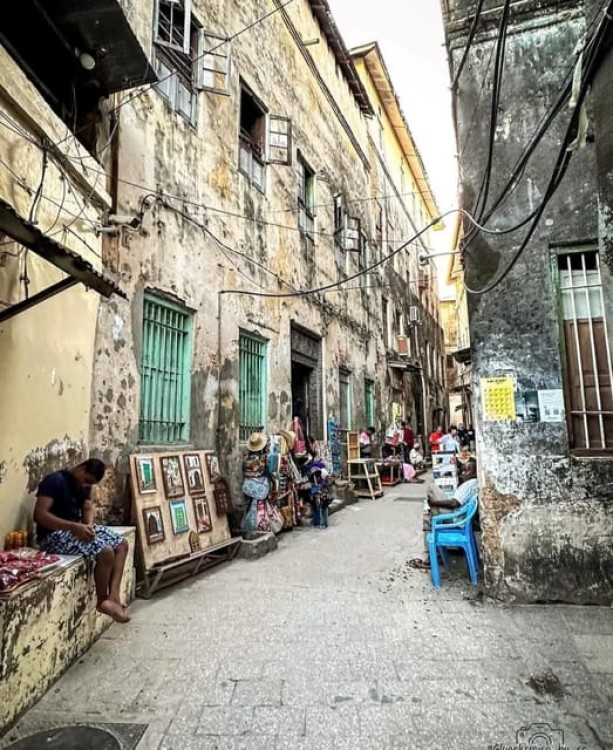 Zanzibar: Stone town Insights & Jozani forest Exploration | ®ExcursionMania
