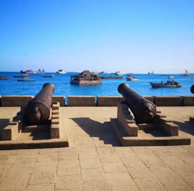 Zanzibar: Stone town Insights & Jozani forest Exploration | ®ExcursionMania