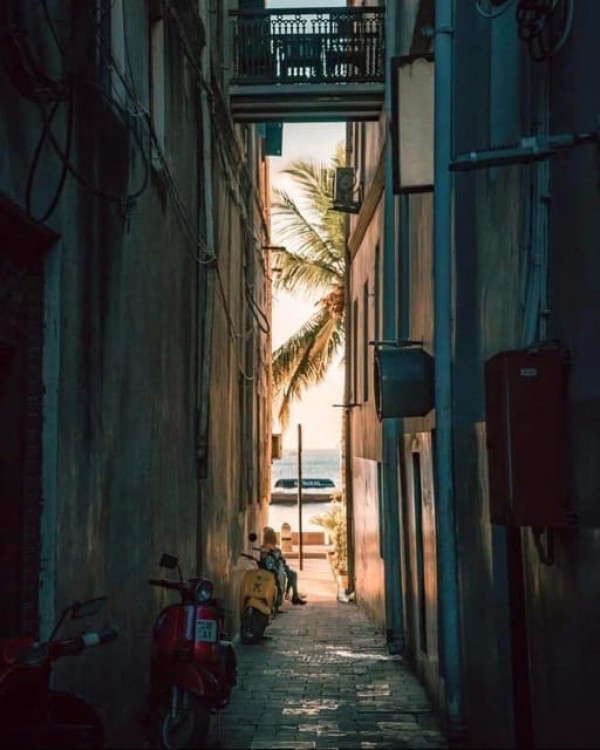 Zanzibar: Stone town Insights & Jozani forest Exploration | ®ExcursionMania