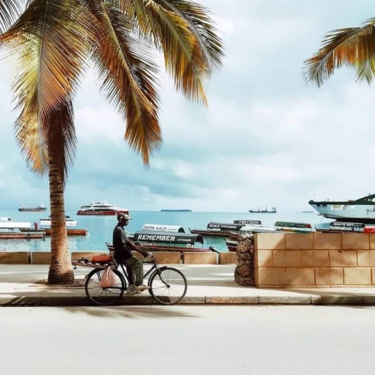 Zanzibar: Stone town Insights & Jozani forest Exploration | ®ExcursionMania