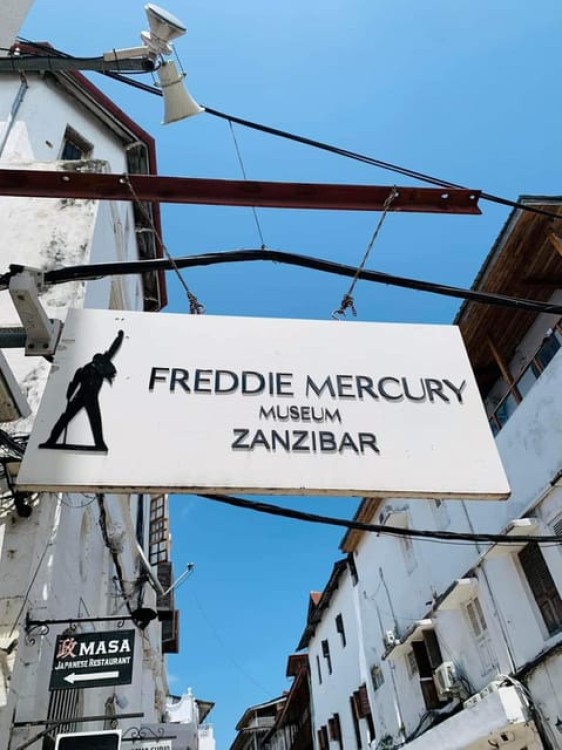 Zanzibar: Stone town Insights & Jozani forest Exploration | ®ExcursionMania