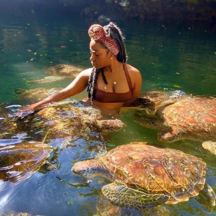 Zanzibar: Swim with turtles at Nungwi | ®ExcursionMania