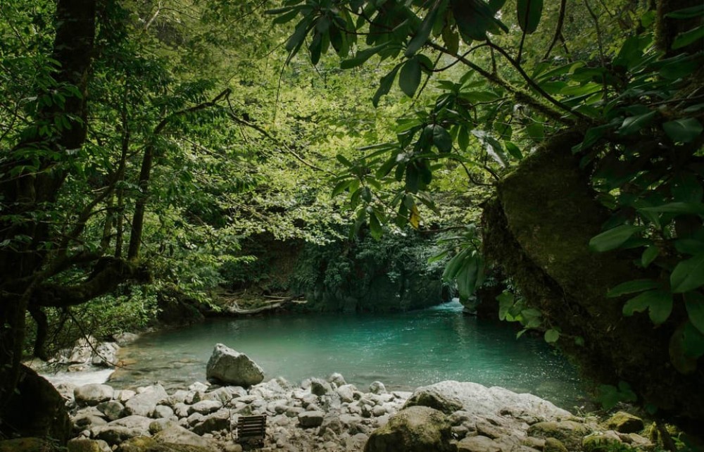 Image 6