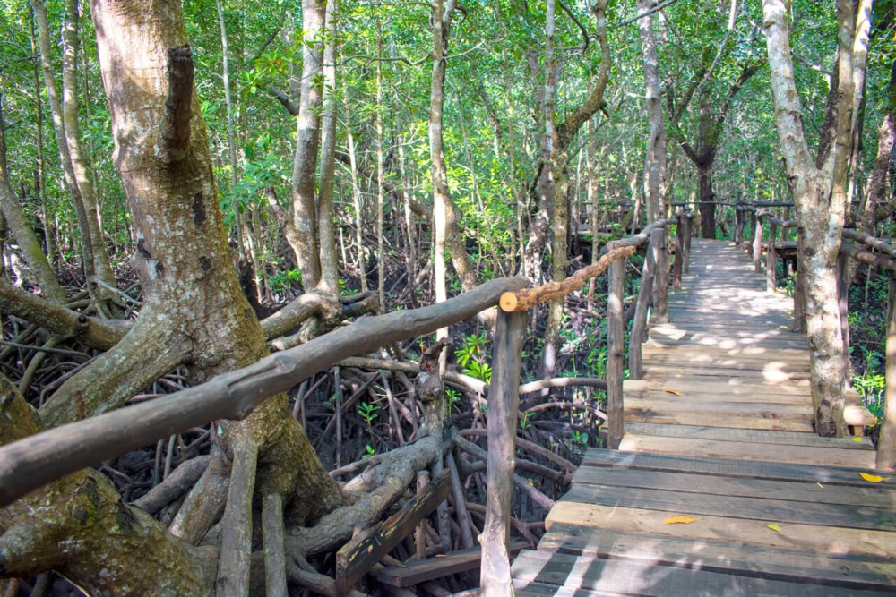 Zanzibar: Jozan Forest, Cave with The Rock Restaurant | ®ExcursionMania