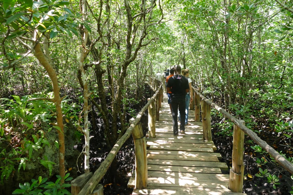 Zanzibar: Jozan Forest, Cave with The Rock Restaurant | ®ExcursionMania