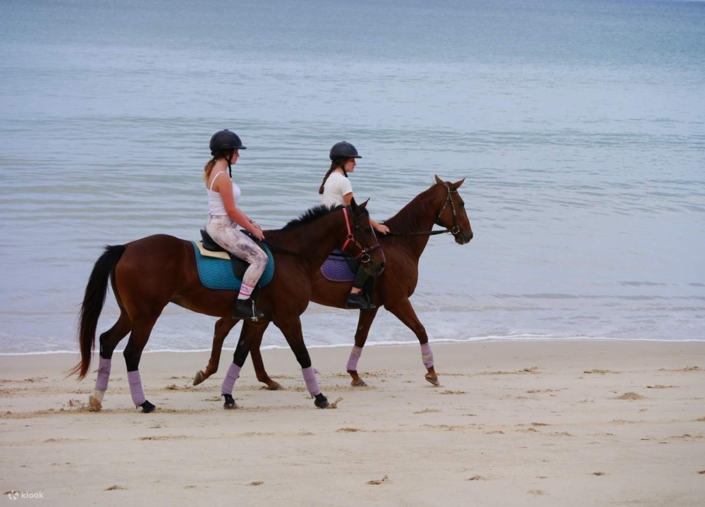 Horseback Riding in Boavista for Beginners | ®ExcursionMania