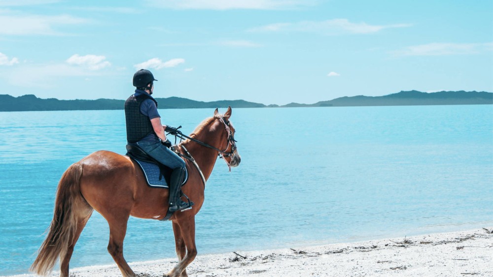 Horseback Riding in Boavista for Beginners | ®ExcursionMania