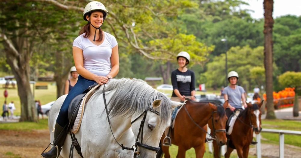 Horseback Riding in Boavista for Beginners | ®ExcursionMania