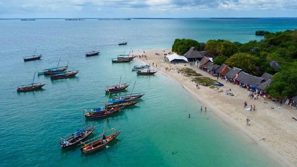 From Nungwi: Safari Blue Snorkeling Tour with Lunch | ®ExcursionMania