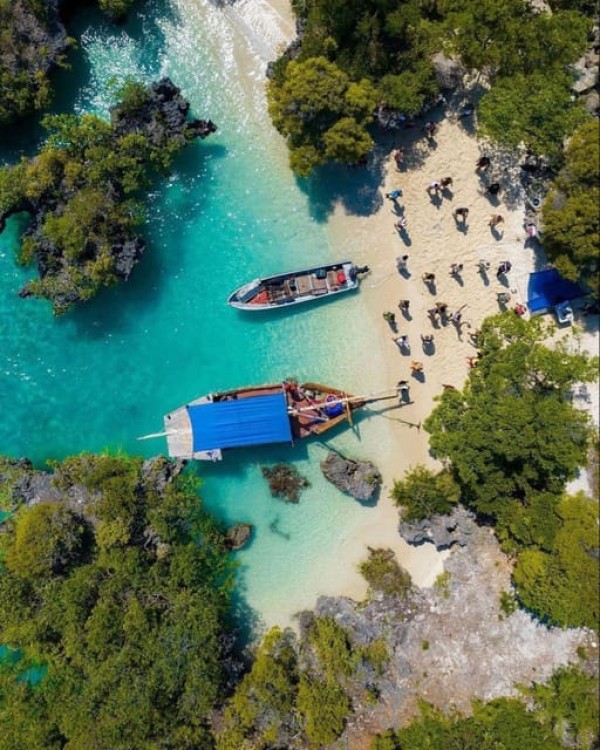 From Nungwi: Safari Blue Snorkeling Tour with Lunch | ®ExcursionMania