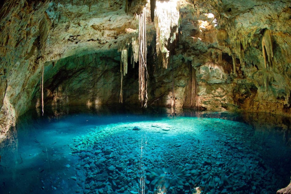 Zanzibar: Starfish, Blue Lagoon, and The Rock Restaurant | ®ExcursionMania