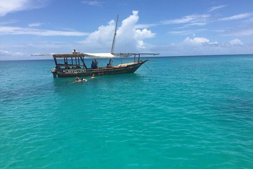 From Nungwi : Mnemba Boat Trip and Dolphin Snorkel Adventure | ®ExcursionMania
