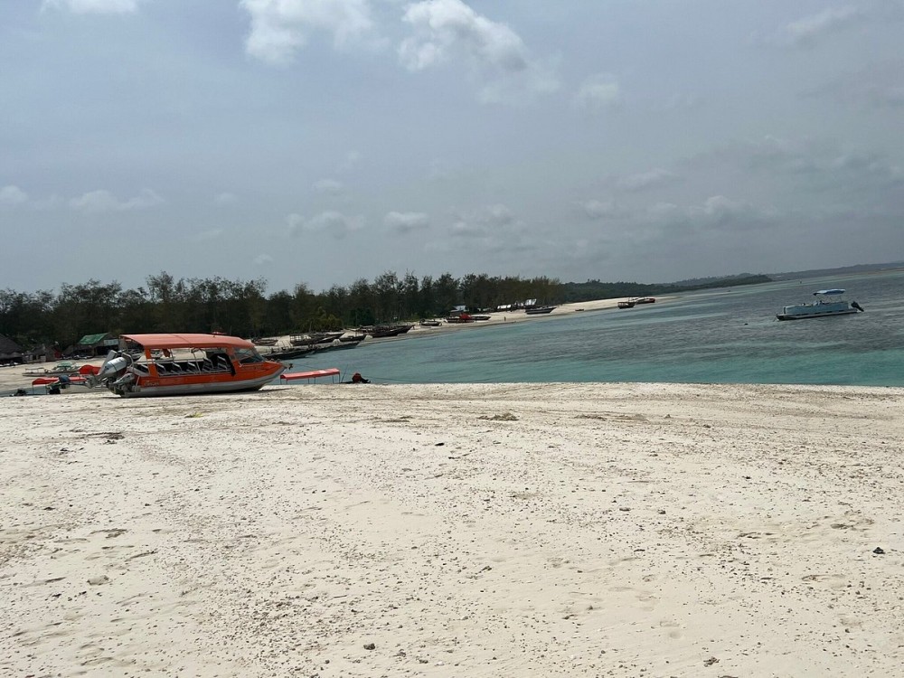 From Nungwi : Mnemba Boat Trip and Dolphin Snorkel Adventure | ®ExcursionMania