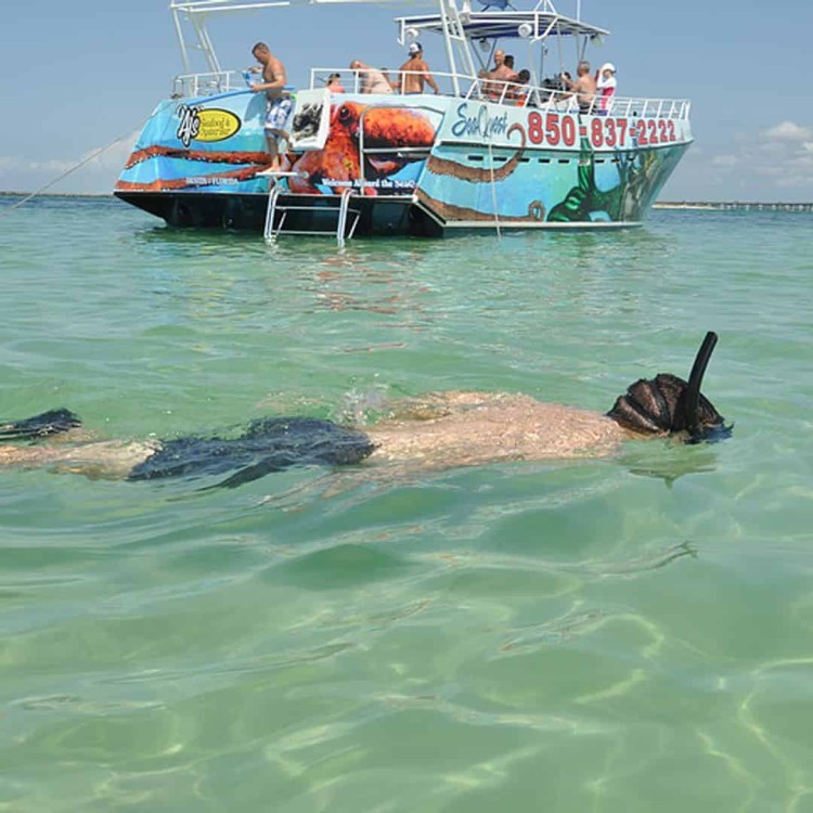From Nungwi : Mnemba Boat Trip and Dolphin Snorkel Adventure | ®ExcursionMania