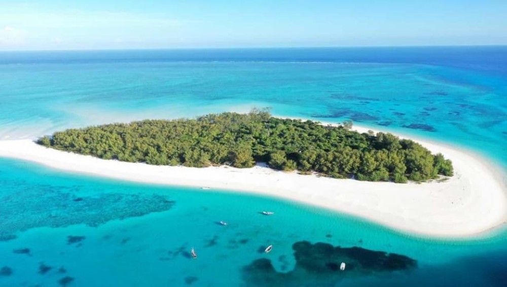 Zanzibar: Mnemba Boat Trip Dolphins Adventure trip | ®ExcursionMania