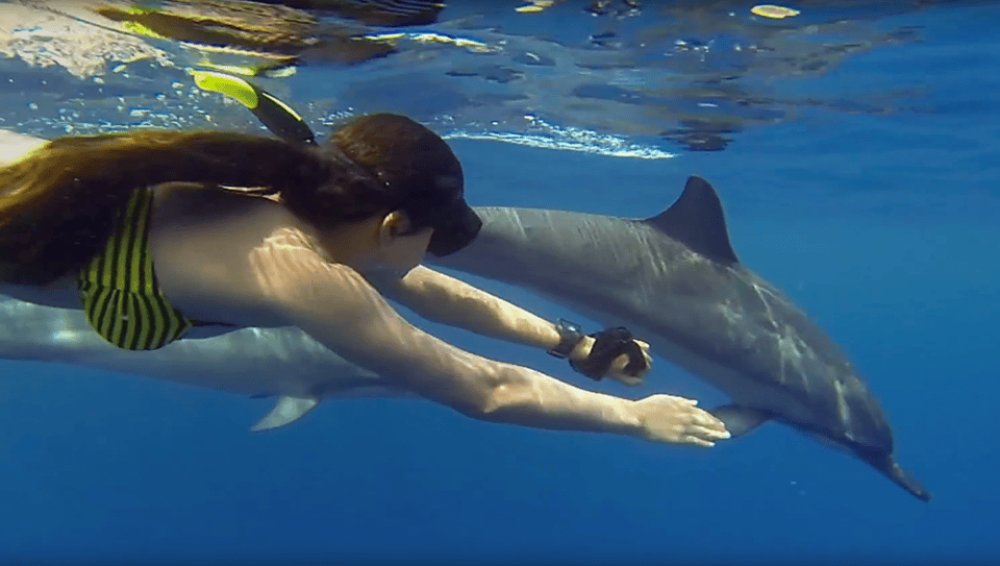 Zanzibar: Mnemba Boat Trip Dolphins Adventure trip | ®ExcursionMania