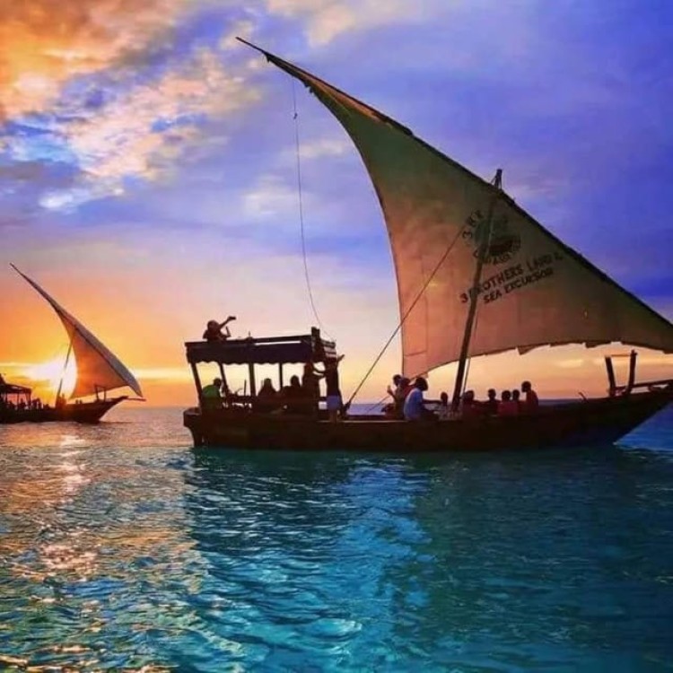 Nungwi Aqurium with sunset at kendwa Beach half day tour | ®ExcursionMania